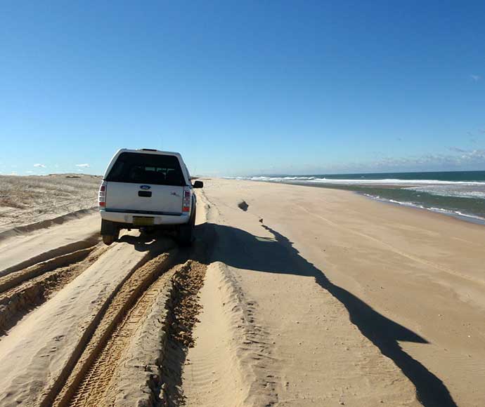 Stockton Beach erosion, Worimi Conservation Lands