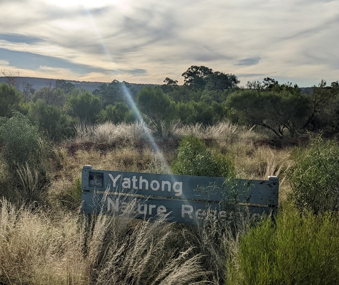 Yathong Nature Reserve sign in the foreground with grasses and shrubs behind and mountains in the distance.