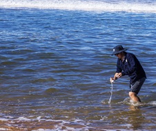 DPE scientist collects a water sample from the beach for testing