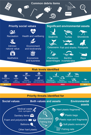 Key findings of marine debris risk assessment.