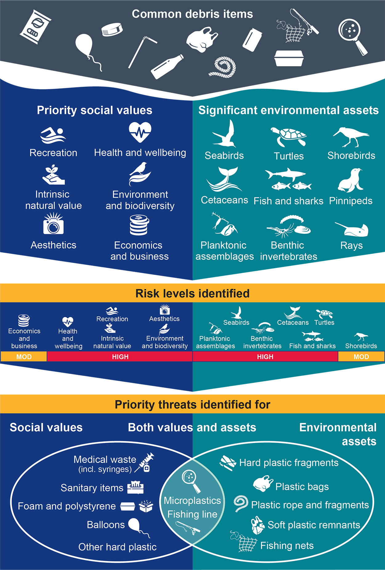 Key findings of marine debris risk assessment.