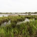 RAMSAR wetland Towra Point Nature Reserve 