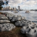 These 3D-printed ‘habitat tiles’ will be mounted on man-made harbour walls to become Living Seawalls to encourage marine wildlife to return