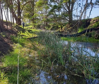 Assessing riparian vegetation at Victoria Creek, Tilba Tilba Lake catchment