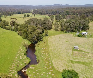 Aerial view of fencing and planting at Wapengo Creek, Wapengo Lagoon catchment