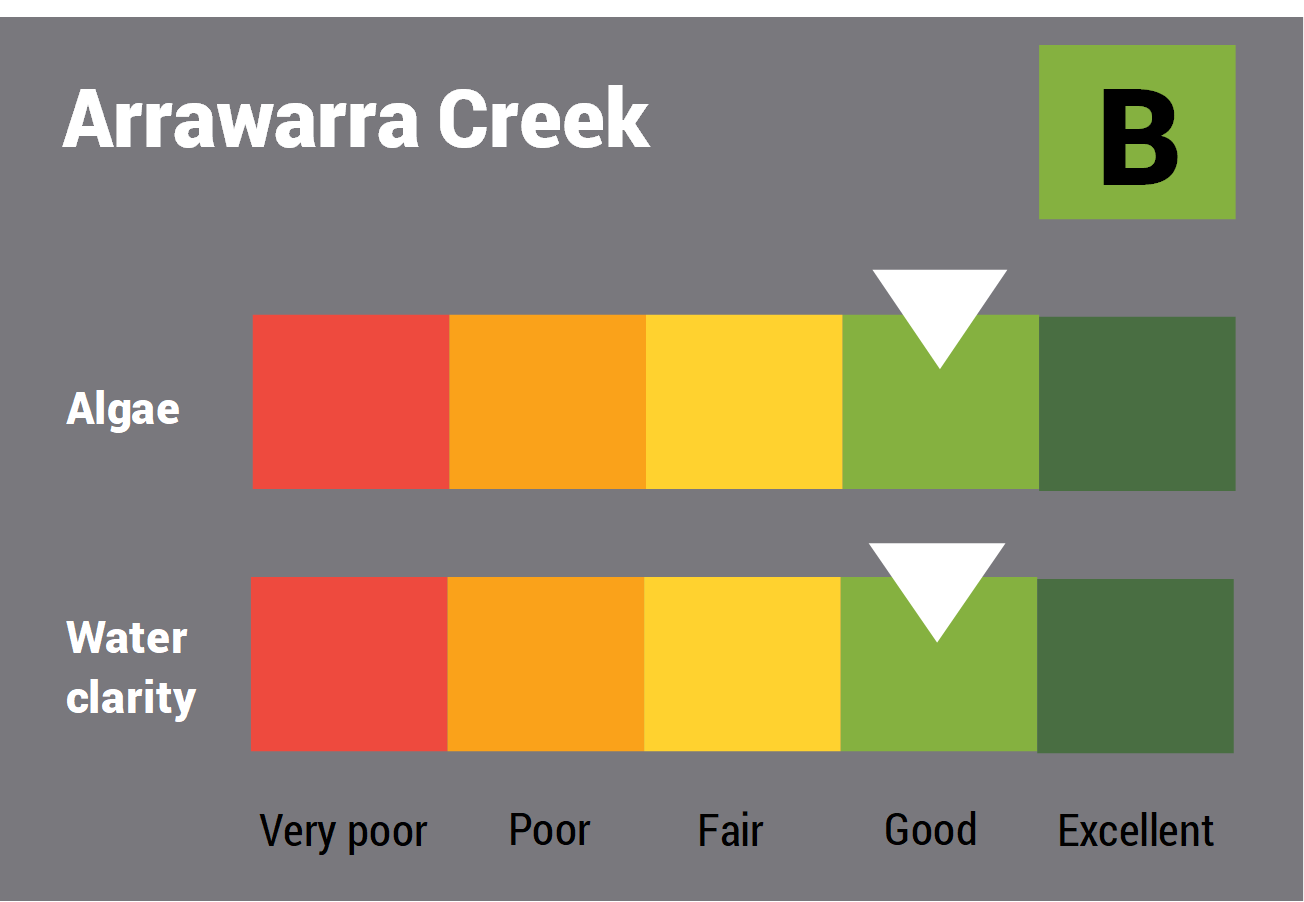 Arrawarra Creek water quality report card for algae and water clarity showing colour-coded ratings (red, orange, yellow, light green and dark green, which represent very poor, poor, fair, good and excellent, respectively). Algae is rated 'good' and water clarity is rated 'good' giving an overall rating of 'good' or 'B'.
