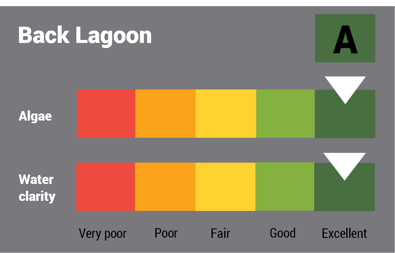 Back Lagoon water quality report card for algae and water clarity showing colour-coded ratings (red, orange, yellow, light green and dark green, which represent very poor, poor, fair, good and excellent, respectively). Algae is rated 'excellent' and water clarity is rated 'excellent' giving an overall rating of 'excellent' or 'A'.