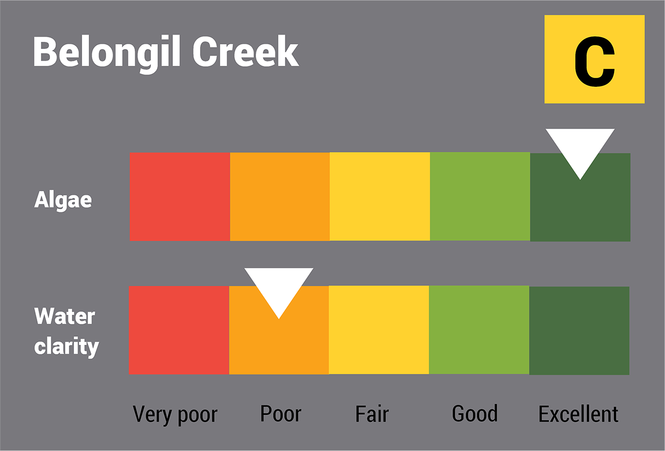 Belongil Creek water quality report card for algae and water clarity showing colour-coded ratings (red, orange, yellow, light green and dark green, which represent very poor, poor, fair, good and excellent, respectively). Algae is rated 'excellent' and water clarity is rated 'poor' giving an overall rating of 'fair' or 'C'.