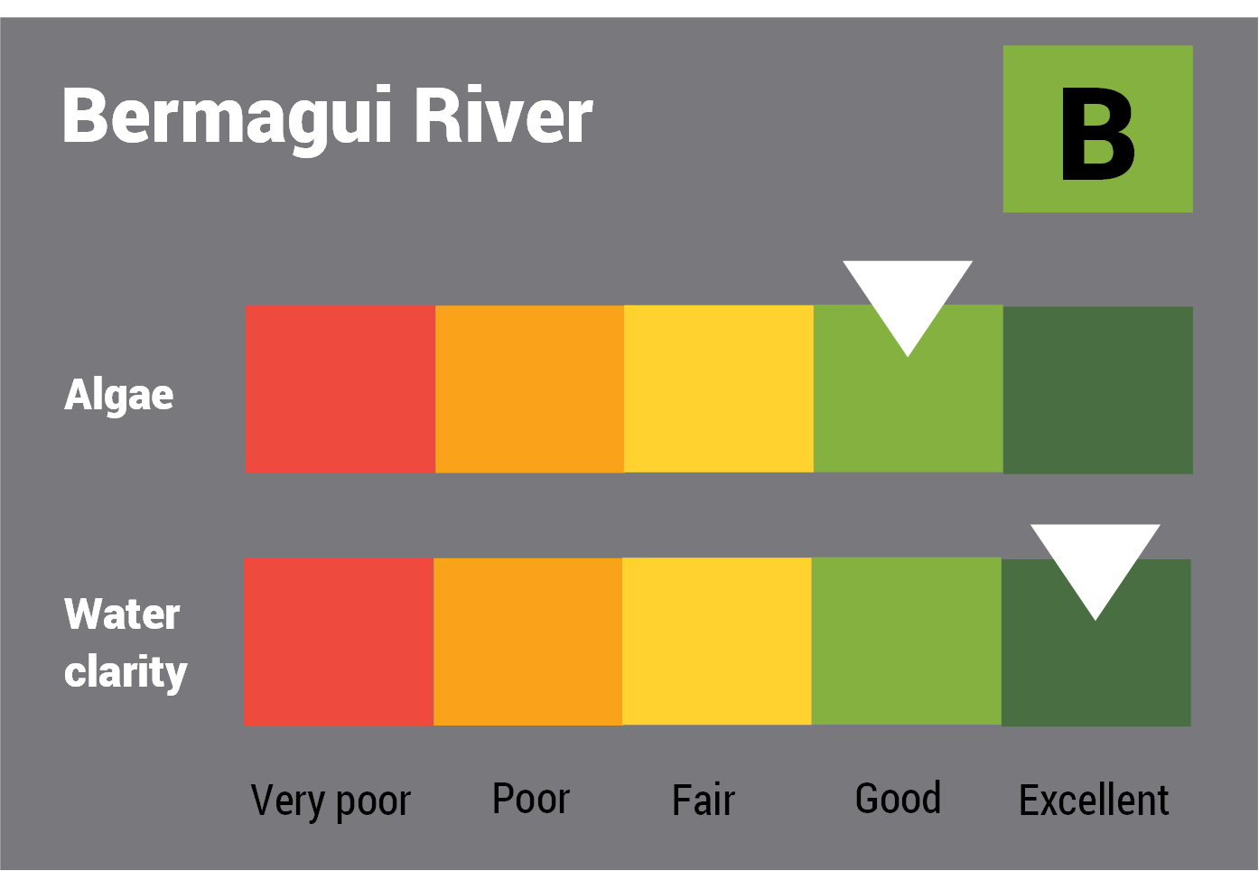 Bermagui River water quality report card for algae and water clarity showing colour-coded ratings (red, orange, yellow, light green and dark green, which represent very poor, poor, fair, good and excellent, respectively). Algae is rated 'fair' and water clarity is rated 'excellent' giving an overall rating of 'good' or 'B'.
