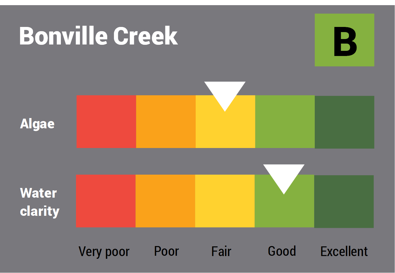 Bonville Creek water quality report card for algae and water clarity showing colour-coded ratings (red, orange, yellow, light green and dark green, which represent very poor, poor, fair, good and excellent, respectively). Algae is rated 'fair' and water clarity is rated 'good' giving an overall rating of 'good' or 'B'.
