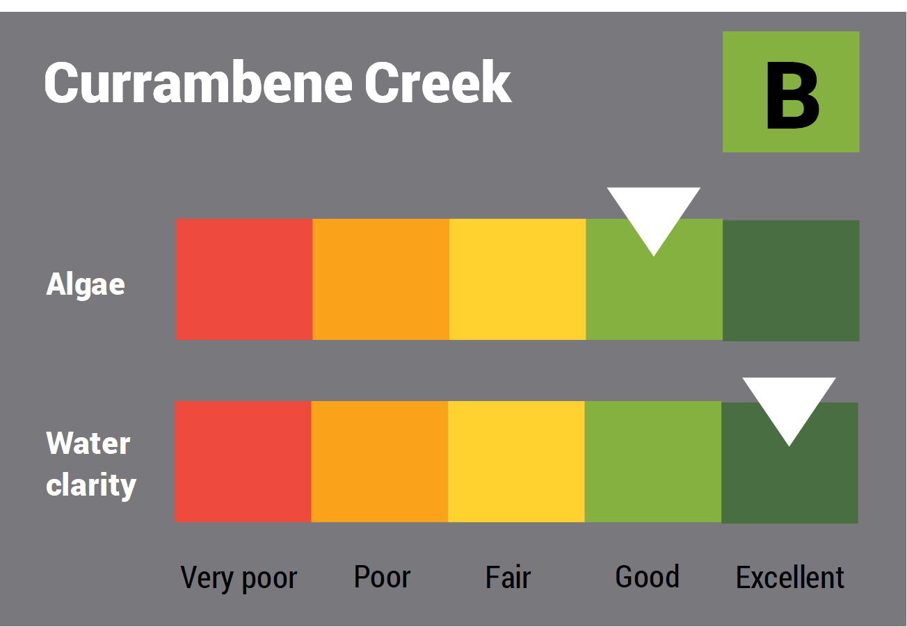 Currambene Creek water quality report card for algae and water clarity showing colour-coded ratings (red, orange, yellow, light green and dark green, which represent very poor, poor, fair, good and excellent, respectively). Algae is rated 'good' and water clarity is rated 'excellent' giving an overall rating of 'good' or 'B'.