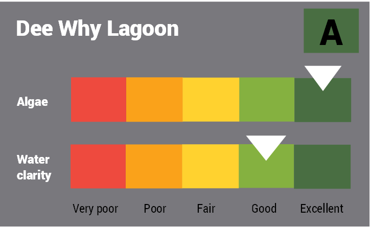 Dee Why Lagoon quality report card for algae and water clarity showing colour-coded ratings (red, orange, yellow, light green and dark green, which represent very poor, poor, fair, good and excellent, respectively). Algae is rated 'excellent' and water clarity is rated 'good' giving an overall rating of 'Excellent' or 'A'.