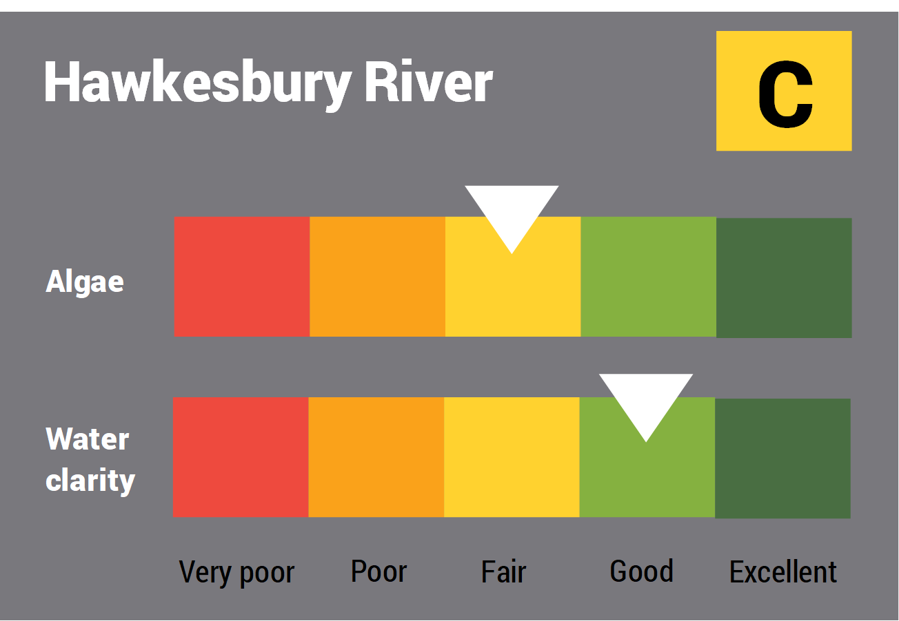 Hawkesbury River water quality report card showing colour-coded ratings (red, orange, yellow, light green and dark green, which represent very poor, poor, fair, good and excellent, respectively) for algae and water clarity. Algae is rated 'fair' and water clarity is rated 'good', giving an overall rating of 'Fair' or 'C'.