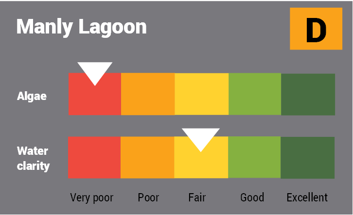 Manly Lagoon water quality report card for algae and water clarity showing colour-coded ratings (red, orange, yellow, light green and dark green, which represent very poor, poor, fair, good and excellent, respectively). Algae is rated 'very poor' and water clarity is rated 'fair' giving an overall rating of 'poor' or 'D'.