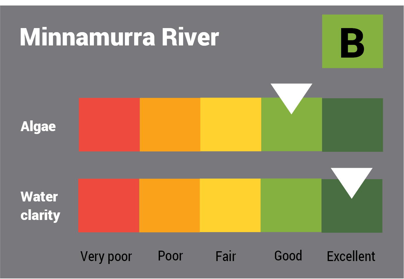 Minnamurra River water quality report card for algae and water clarity showing colour-coded ratings (red, orange, yellow, light green and dark green, which represent very poor, poor, fair, good and excellent, respectively). Algae is rated 'poor' and water clarity is rated 'good' giving an overall rating of 'fair' or 'C'.