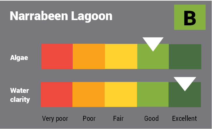 Narrabeen Lagoon water quality report card for algae and water clarity showing colour-coded ratings (red, orange, yellow, light green and dark green, which represent very poor, poor, fair, good and excellent, respectively). Algae is rated 'good' and water clarity is rated 'excellent' giving an overall rating of 'good' or 'B'.