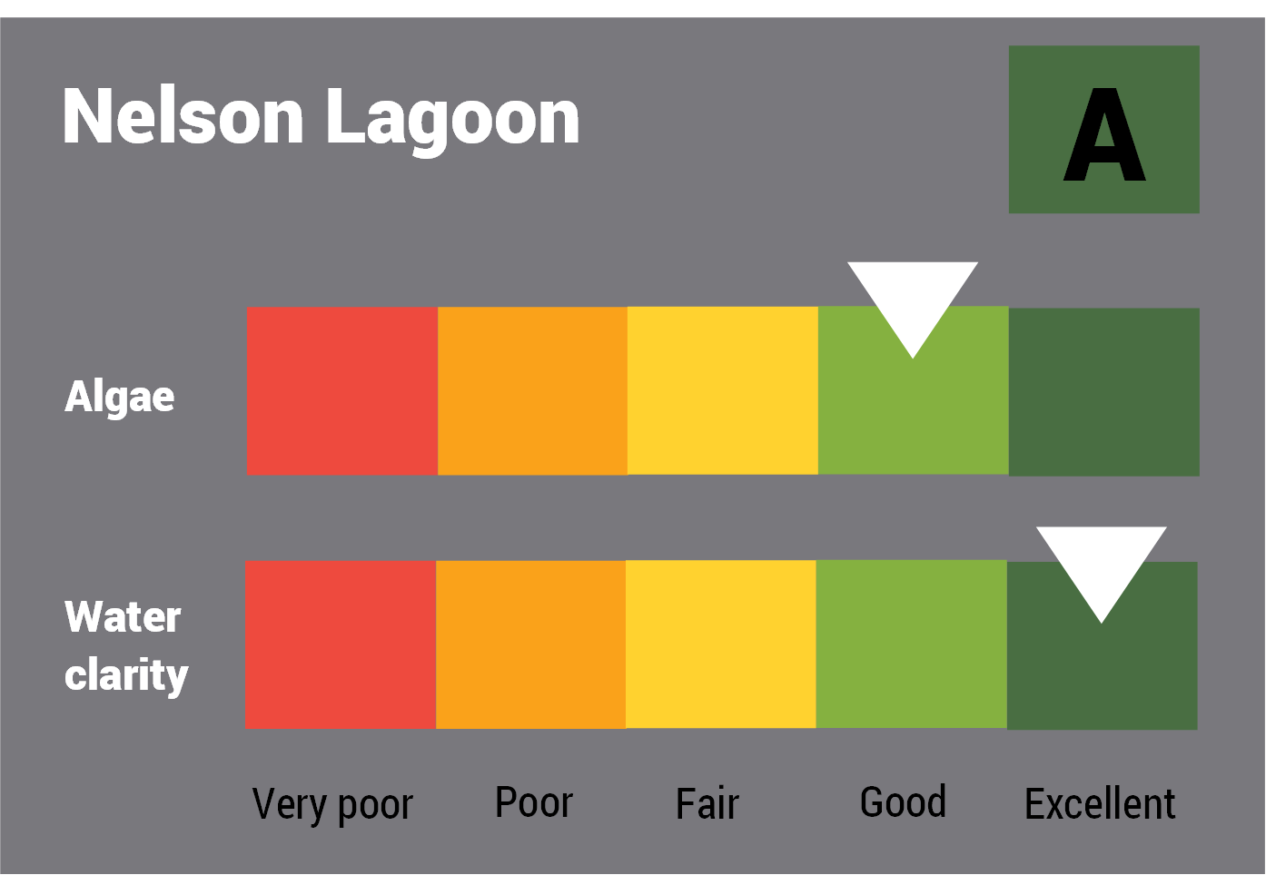 Nelson Lagoon water quality report card for algae and water clarity showing colour-coded ratings (red, orange, yellow, light green and dark green, which represent very poor, poor, fair, good and excellent, respectively). Algae is rated 'excellent' and water clarity is rated 'good' giving an overall rating of 'excellent' or 'A'.