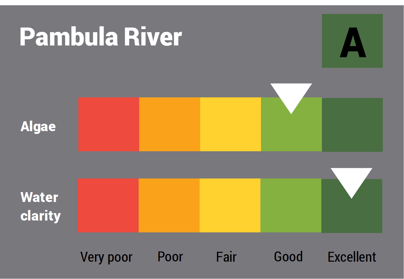 Pambula River water quality report card for algae and water clarity showing colour-coded ratings (red, orange, yellow, light green and dark green, which represent very poor, poor, fair, good and excellent, respectively). Algae is rated 'good' and water clarity is rated 'excellent' giving an overall rating of 'excellent' or 'A'.