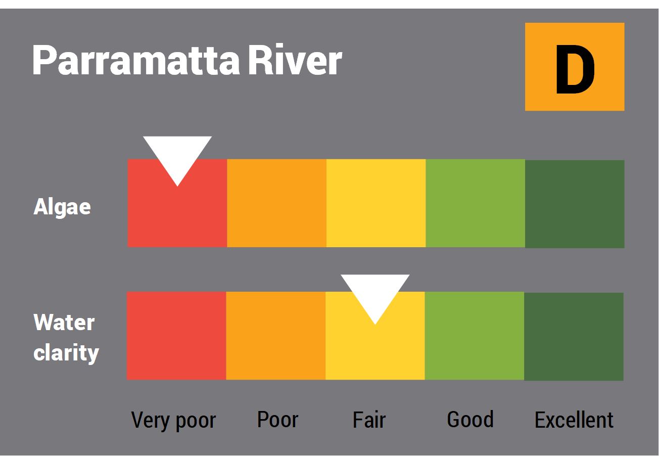 Parramatta River water quality report card for algae and water clarity showing colour-coded ratings (red, orange, yellow, light green and dark green, which represent very poor, poor, fair, good and excellent, respectively). Algae is rated 'very poor' and water clarity is rated 'fair' giving an overall rating of 'poor' or 'D'.