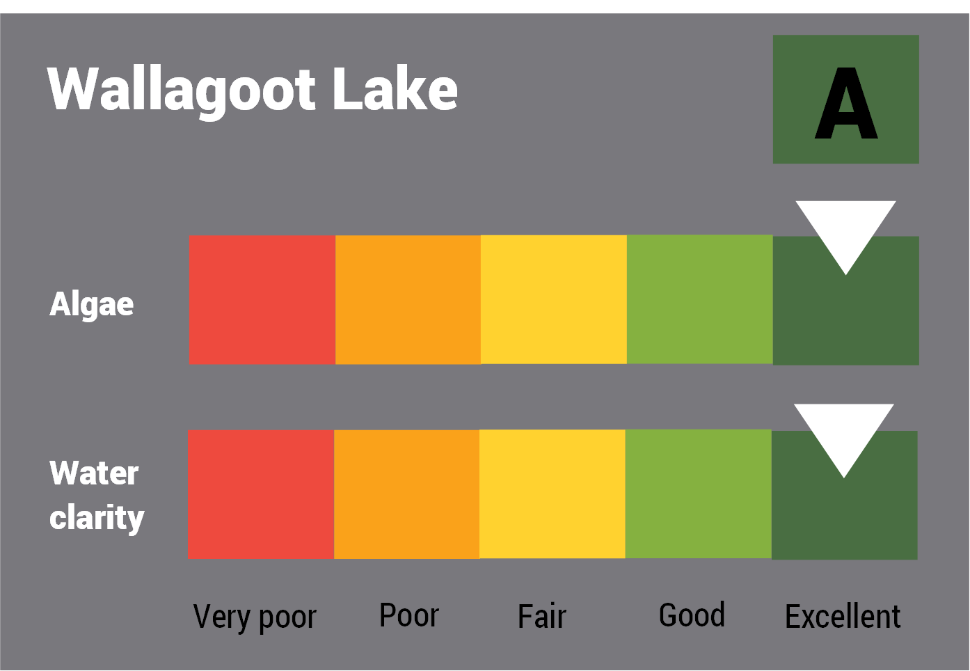 Wallagoot Lake water quality report card for algae and water clarity showing colour-coded ratings (red, orange, yellow, light green and dark green, which represent very poor, poor, fair, good and excellent, respectively). Algae is rated 'good' and water clarity is rated 'excellent' giving an overall rating of 'good' or 'B'.