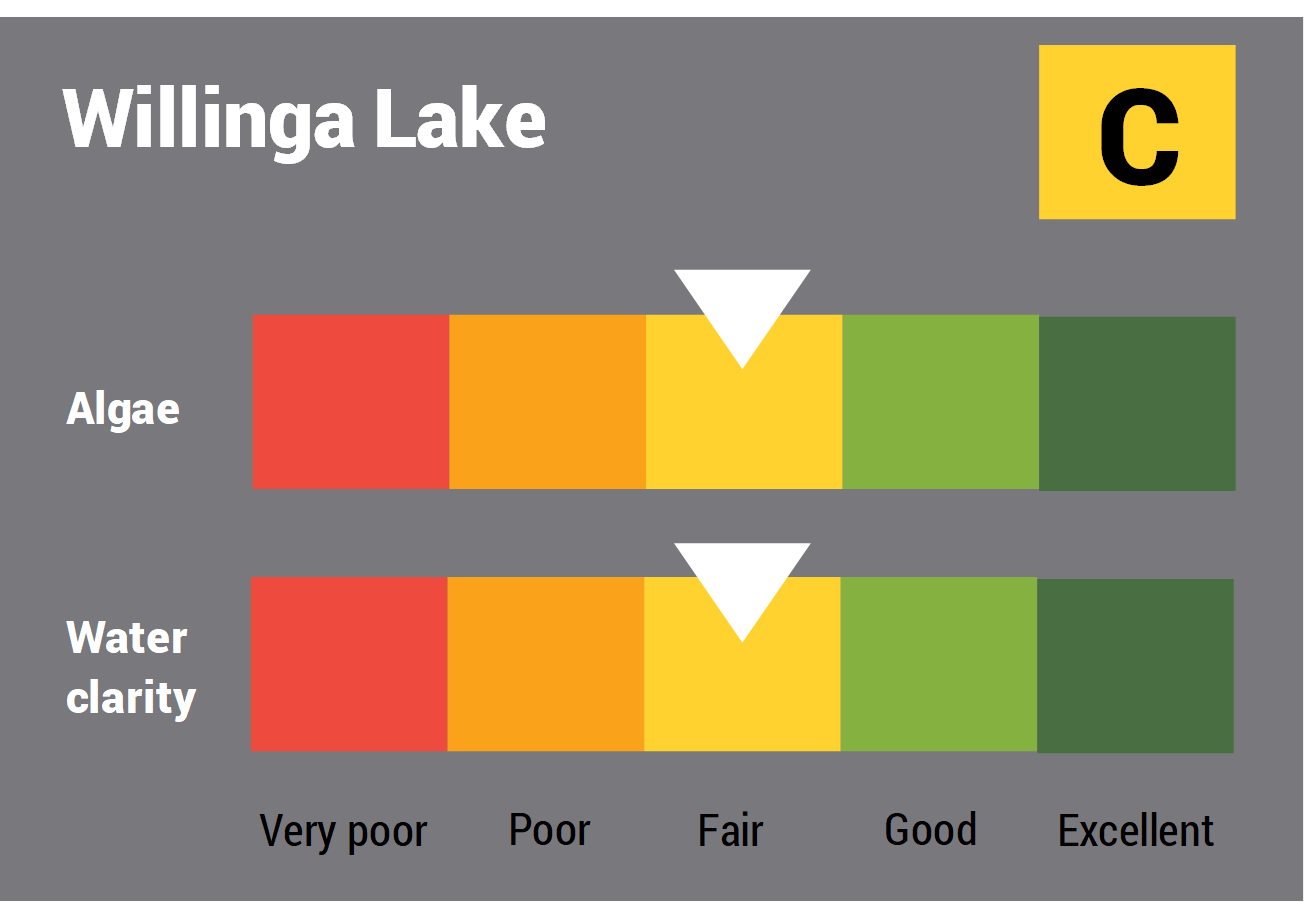 Willinga Lake water quality report card for algae and water clarity showing colour-coded ratings (red, orange, yellow, light green and dark green, which represent very poor, poor, fair, good and excellent, respectively). Algae is rated 'fair' and water clarity is rated 'fair' giving an overall rating of 'fair' or 'C'.