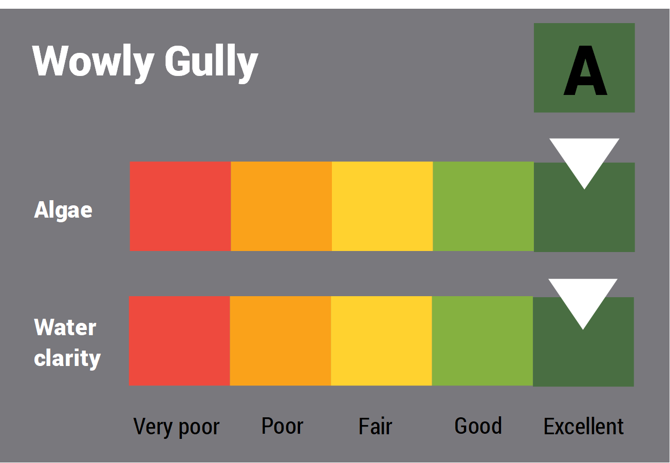 Wowly Gully water quality report card for algae and water clarity showing colour-coded ratings (red, orange, yellow, light green and dark green, which represent very poor, poor, fair, good and excellent, respectively). Algae is rated 'excellent' and water clarity is rated 'excellent' giving an overall rating of 'excellent' or 'A'.