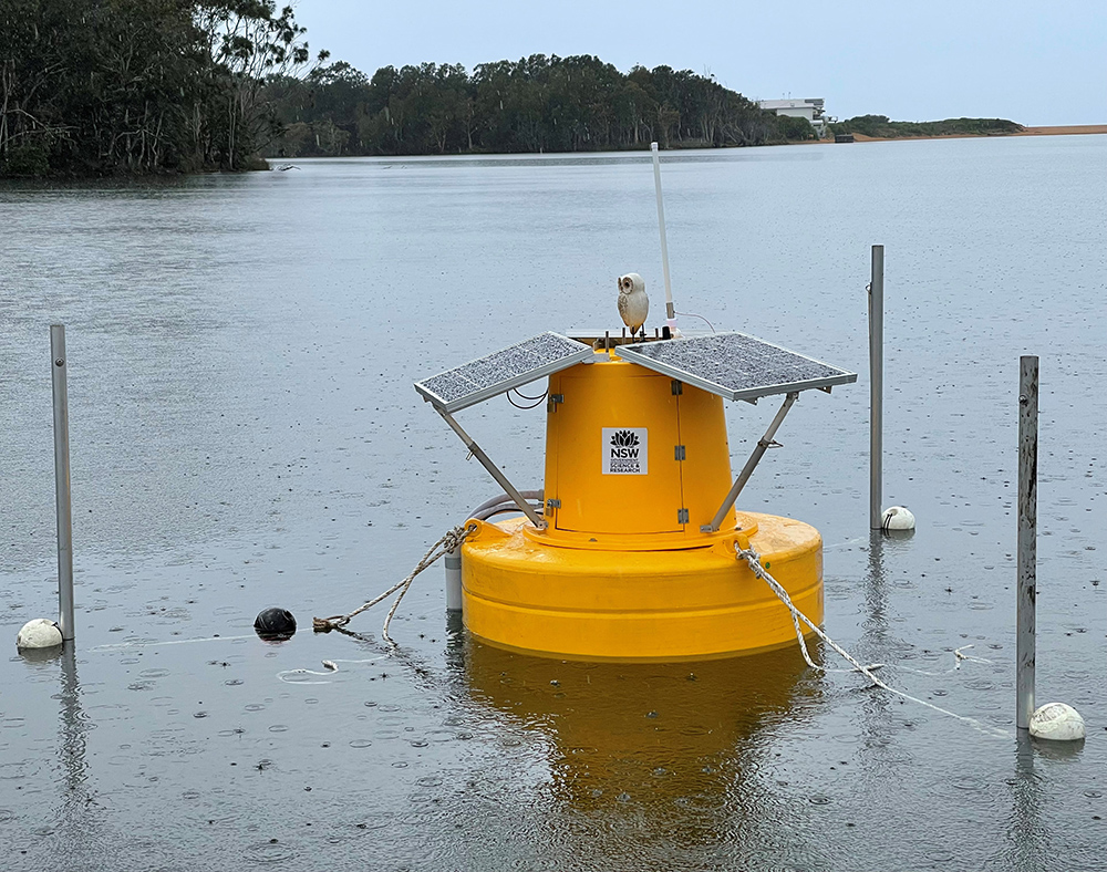 Yellow buoy attached to 3 poles floating on water in lake.