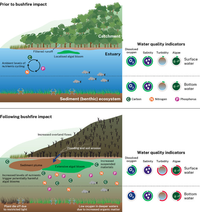Coloured illustration showing the likely impacts of bushfires on water quality with legend for water-quality indicators