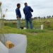Two people in conversation standing among planted seedlings