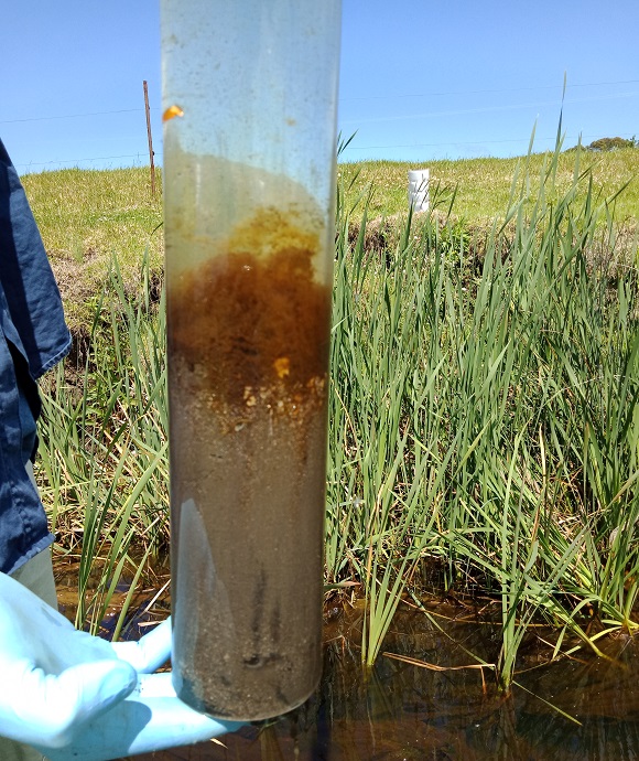 Hand holding a tube containing sediment from the Tilba Tilba Lake and Victoria Creek area