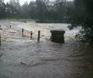Storms and flooding battered NSW in April 2015, Lane Cove National Park