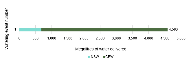 Bar chart showing water delivery to the Macquarie-Castlereagh catchment in the 2019-20 water year.