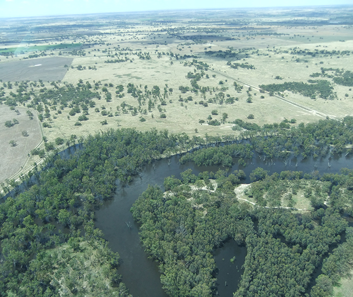 Murray Wetlands aerial view