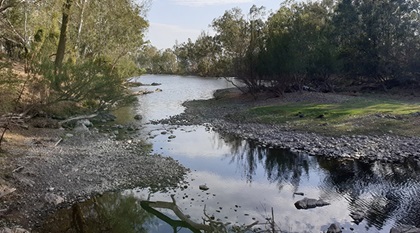 The Dumaresq River in the Border Rivers catchment. 