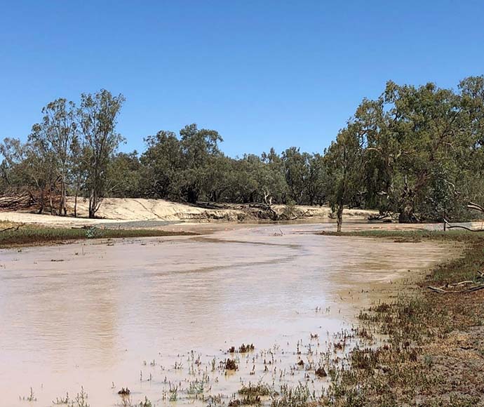 Darling River, first flow.