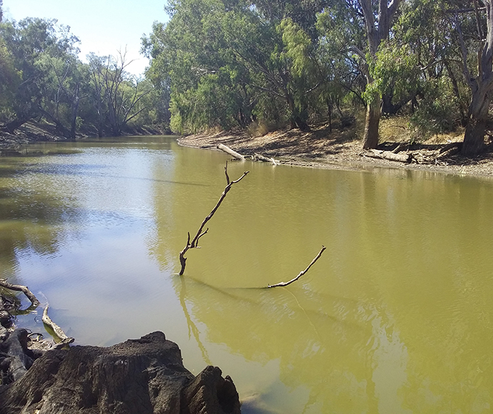 Large river pool in good condition but levels falling, upper Mehi
