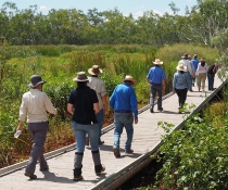 The EWAG tours the Burrima boardwalk in the northern Macquarie Marshes