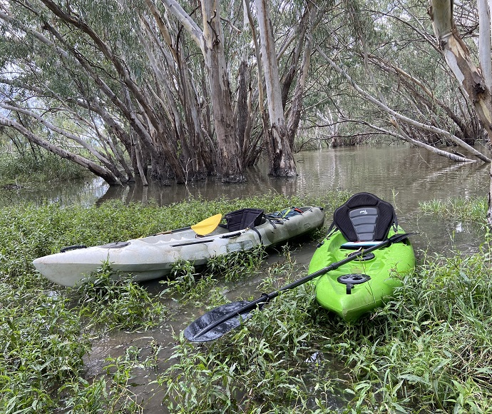 Kayaks parked on the Macquarie River floodplain.