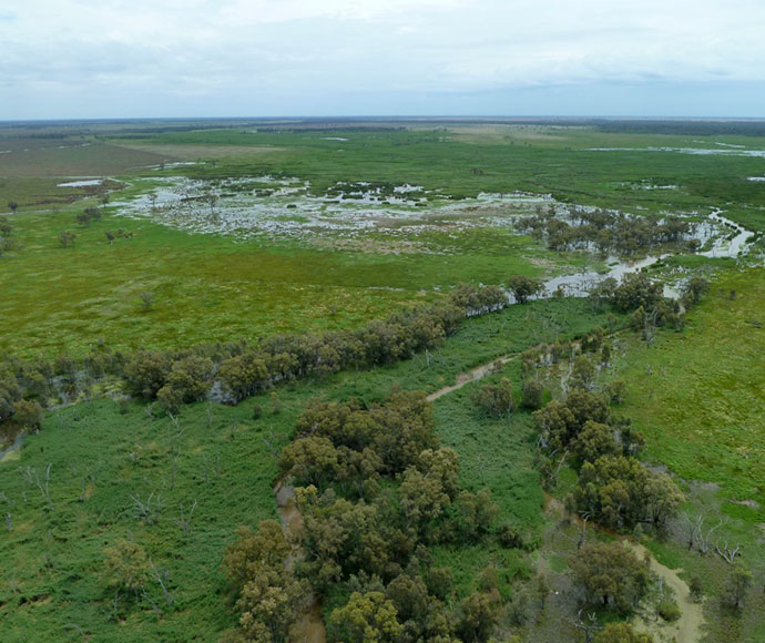 Southern Macquarie Marshes, Willancorah Station
