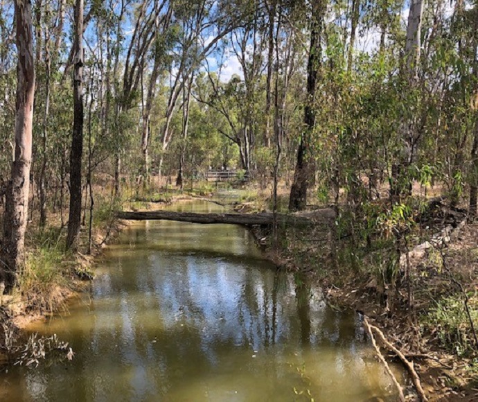 Nine Panel Creek looking upstream with the regulator in the background