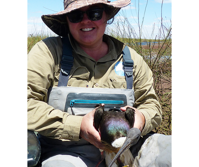 CSIRO Waterbirds Australia Senior Research Scientist Heather McGinness pictured with Ngawin – a straw-necked ibis (Threskiornis spinicollis) who recently returned to Gayini to nest