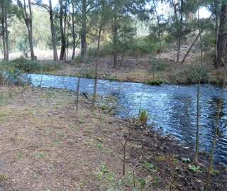 Water flowing in the Peel River downstream of Chaffey Dam wall.