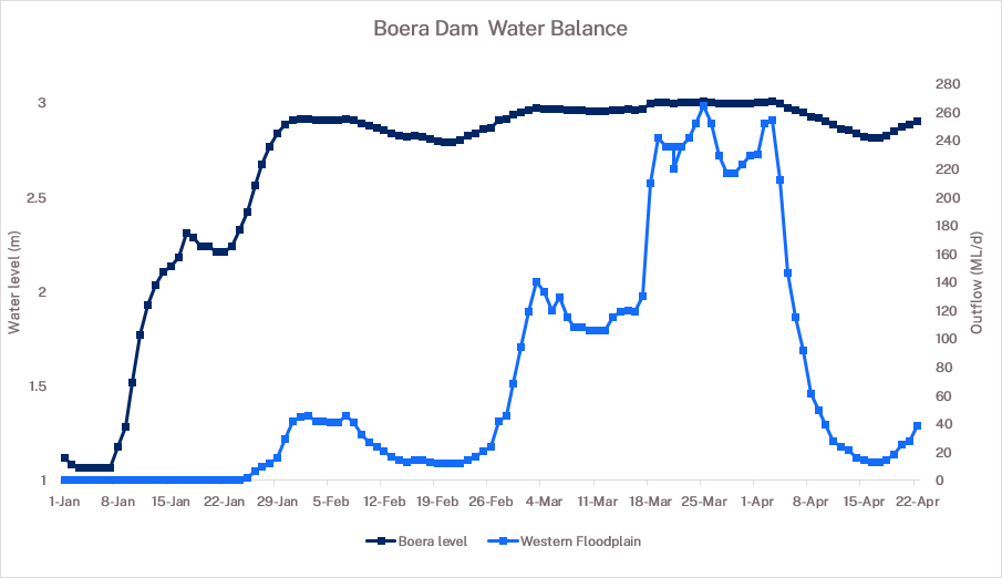 Boera Dam water balance graph 23 April 2024