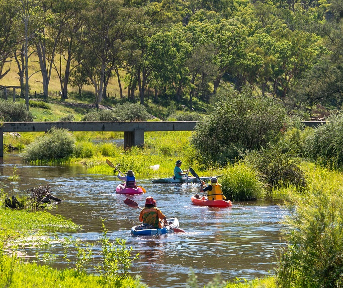 View from Mole River bridge of kayakers paddling upstream with grassy banks and trees in the background