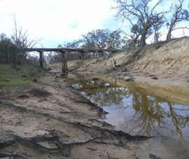A bridge and exposed acid sulphate soil