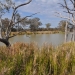 Gwydir Wetlands in the North West Slopes region of north-eastern New South Wales