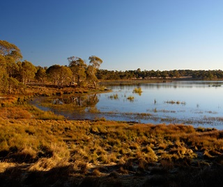 A water body with vegetation on its shore