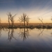 Mid Murray River wetlands at sunrise