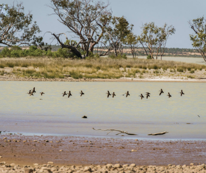 Peery Lake, Paroo River wetlands system, Murray Darling Basin