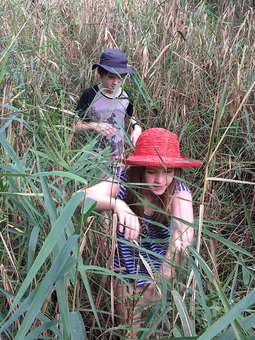 Two children walking through tall reeds.